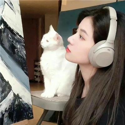 千鹤先生